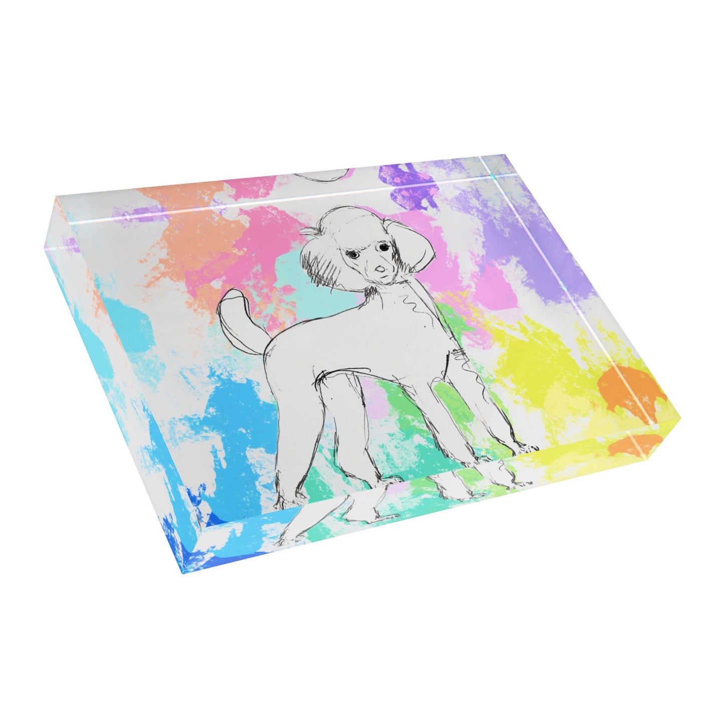 Dogi Fun Acrylic Block